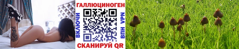 нарко площадка Telegram  Аткарск  Галлюциногенные грибы прущие грибы 